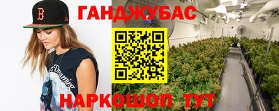 a pvp Гагарин