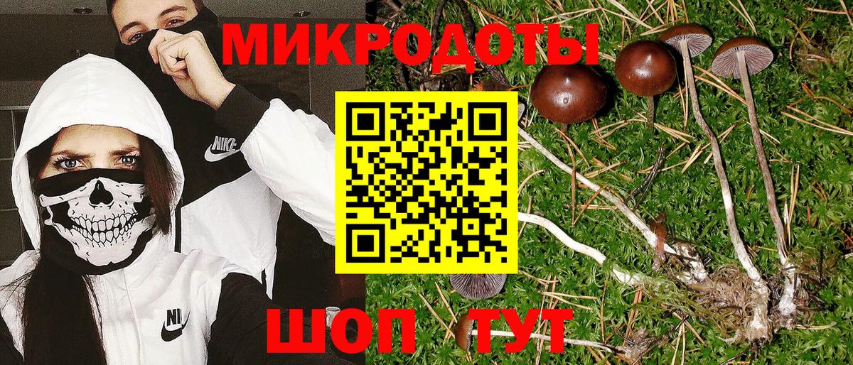 Псилоцибиновые грибы Psilocybine cubensis  Галлюциногенные грибы Cubensis  Вход с VPN  купить наркотики сайты  Балашиха 