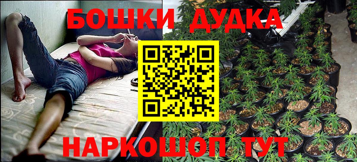 Марихуана план  Вход с VPN  Балашиха  Конопля Bruce Banner  Марихуана индика 